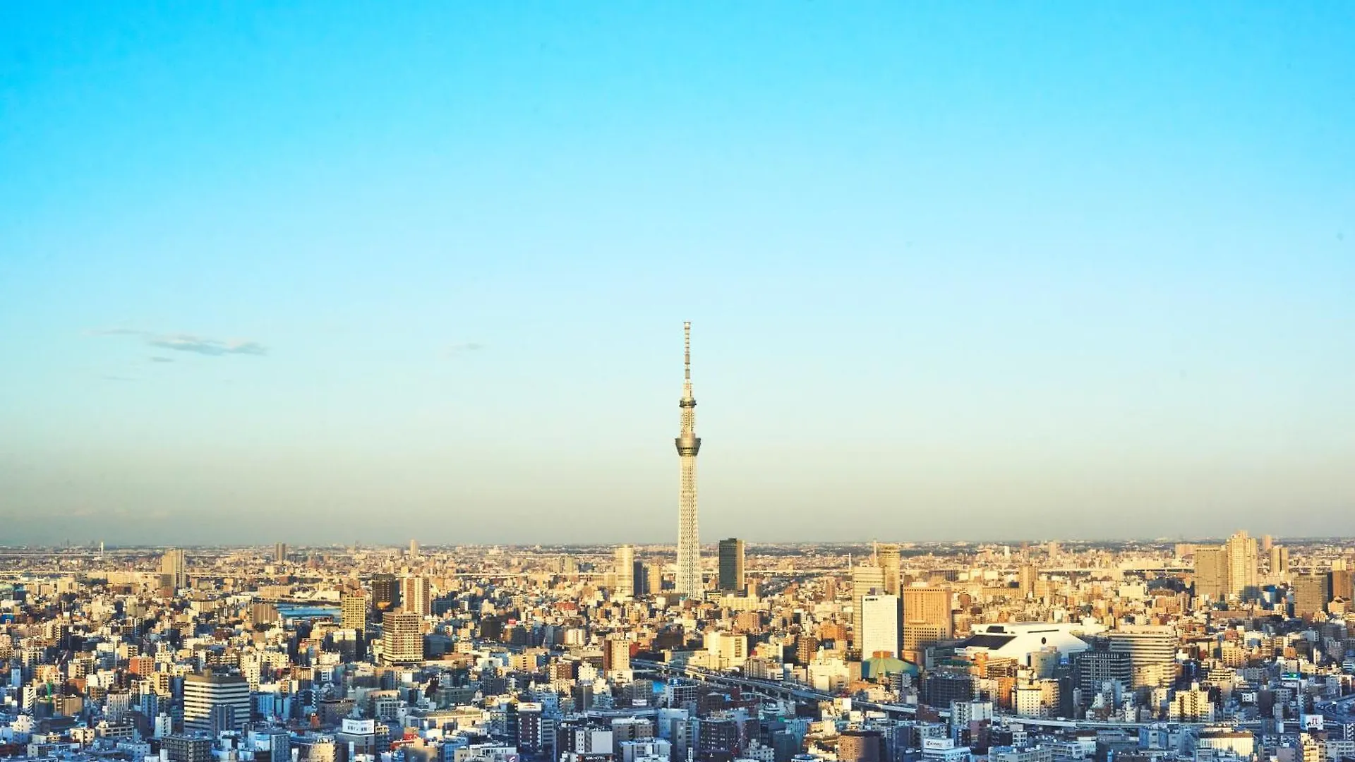Hotel Mandarin Oriental, Prefektura Tokio 5*,