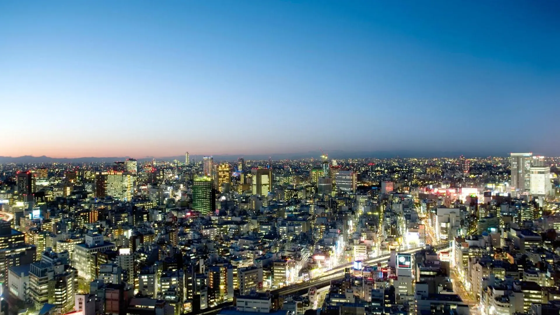 Mandarin Oriental, Tokyo Hotel