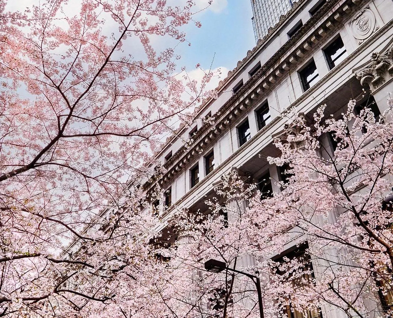 Mandarin Oriental, Tokyo Hotel