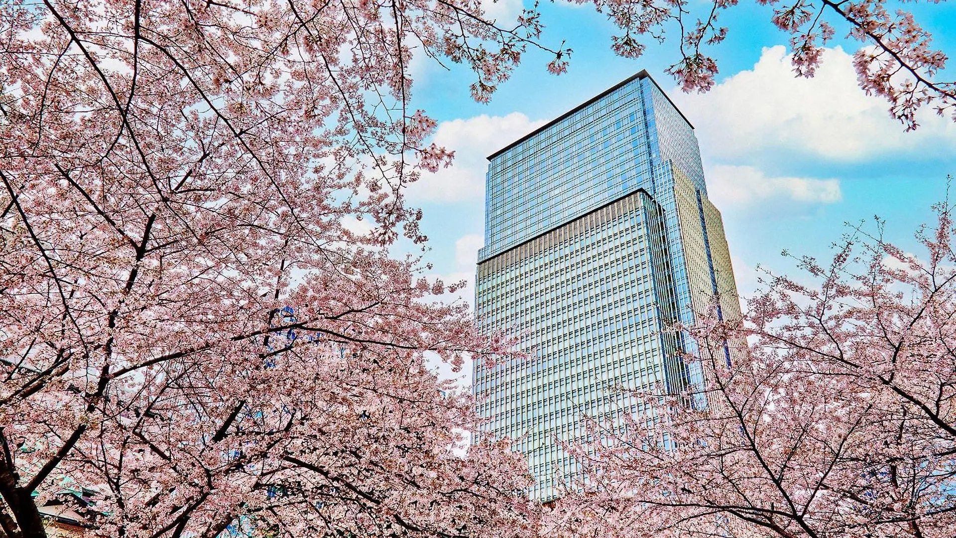 ホテル マンダリン オリエンタル 東京 東京都 5*,