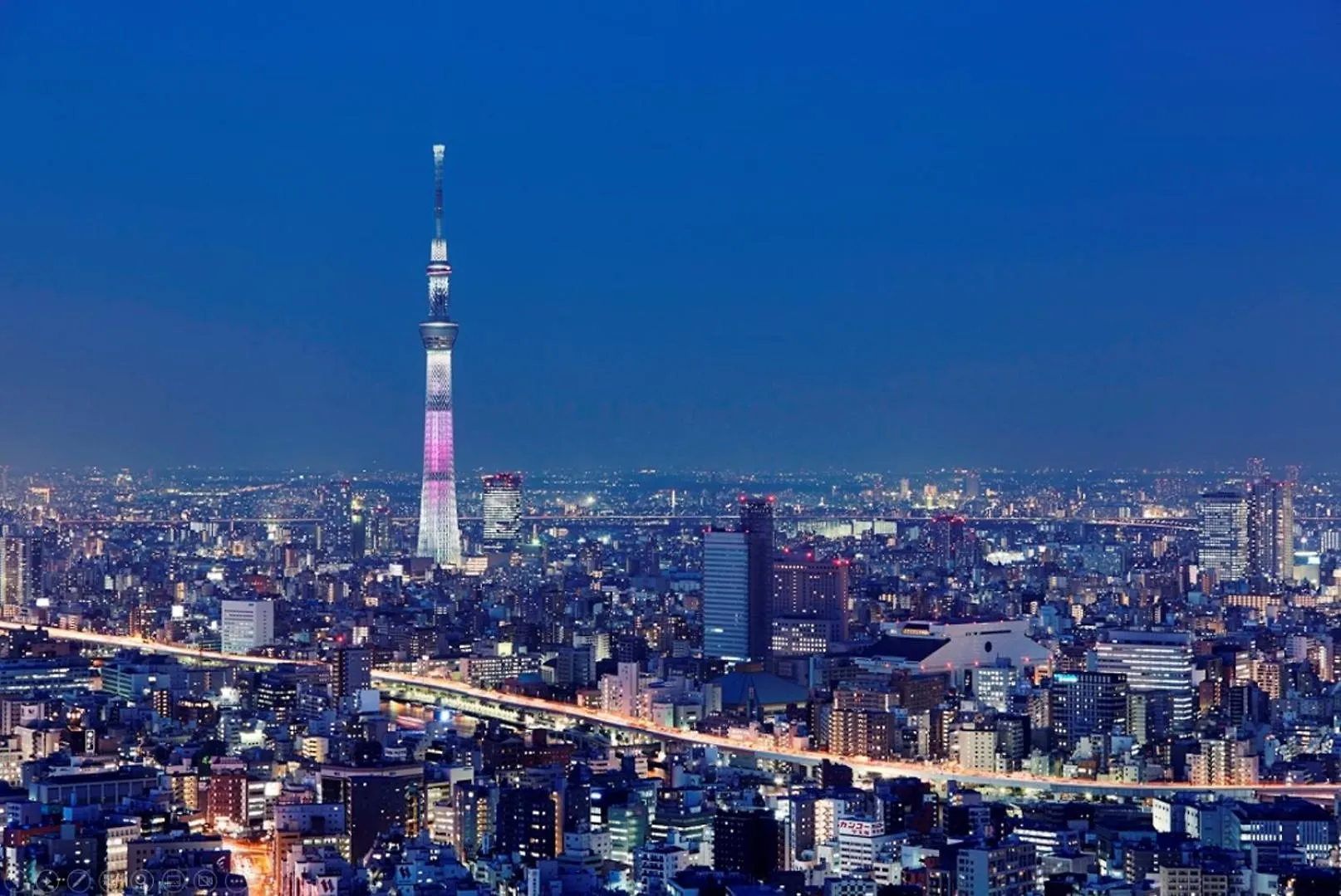 Mandarin Oriental, Tokyo Hotel