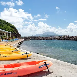 https://bird-rock-beach-hotel.comcaribbean.com